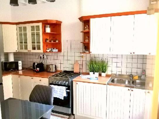 Free Garage Parking, Ac And Bikes In The Downtown Apartment Будапеща Екстериор снимка